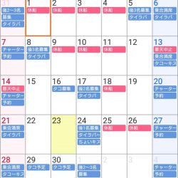 遊漁船 家入 釣果