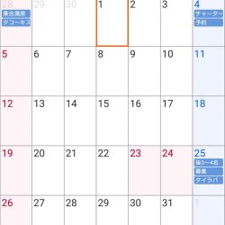 遊漁船 家入 釣果