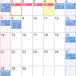 遊漁船 家入 釣果