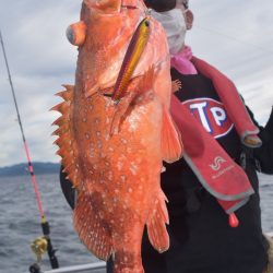 渡船屋たにぐち 釣果