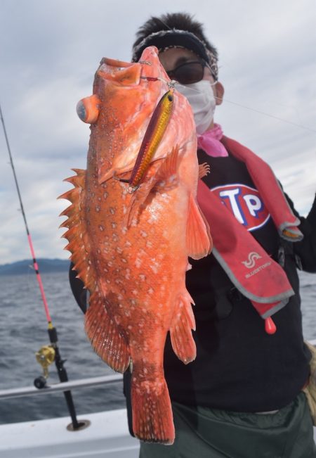 渡船屋たにぐち 釣果