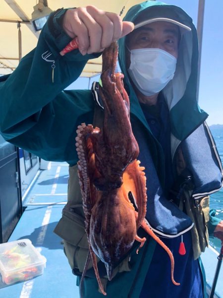 ヤザワ渡船 釣果