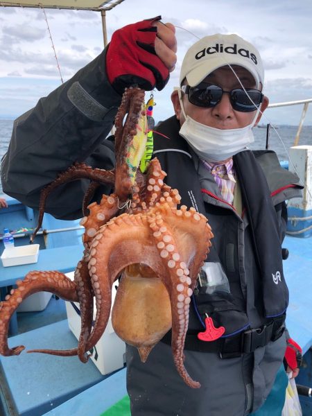 ヤザワ渡船 釣果