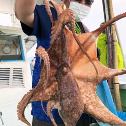 ヤザワ渡船 釣果