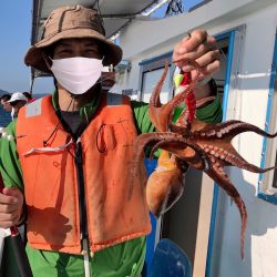 ヤザワ渡船 釣果