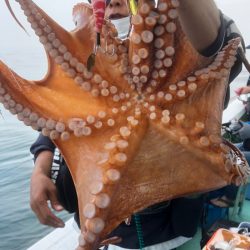 ヤザワ渡船 釣果