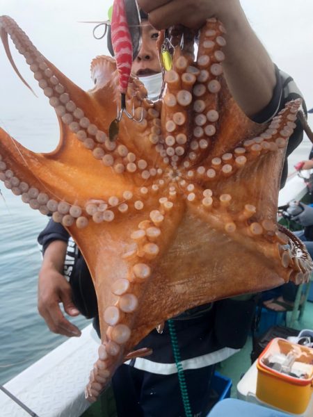 ヤザワ渡船 釣果