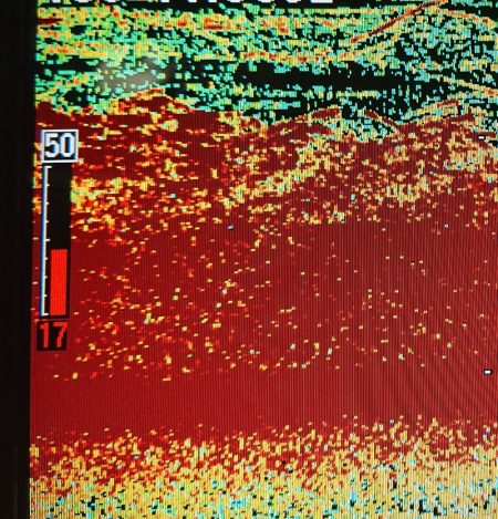 シースナイパー海龍 釣果