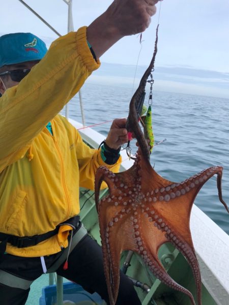 ヤザワ渡船 釣果