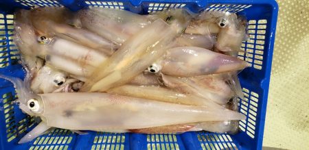 海龍丸（石川） 釣果