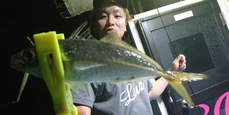 シースナイパー海龍 釣果