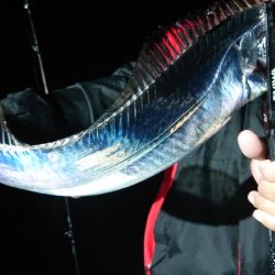 シースナイパー海龍 釣果