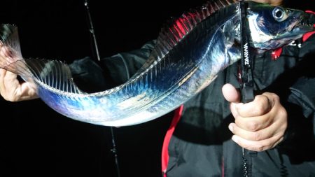 シースナイパー海龍 釣果
