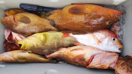 第二龍勢丸 釣果