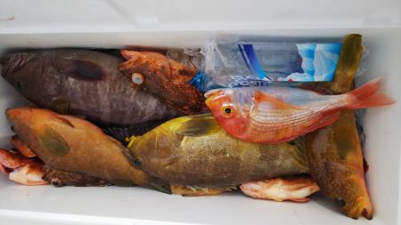 第二龍勢丸 釣果