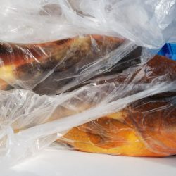 第二龍勢丸 釣果