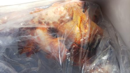 第二龍勢丸 釣果