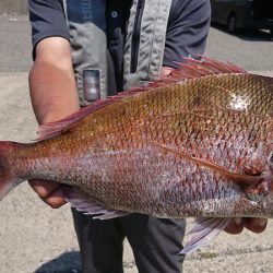 第三共栄丸 釣果