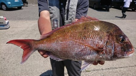 第三共栄丸 釣果