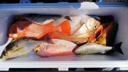 第二龍勢丸 釣果