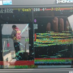 遊漁船ブルーウッズ 釣果