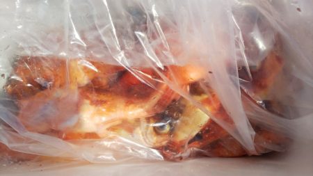 第二龍勢丸 釣果