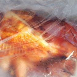 第二龍勢丸 釣果