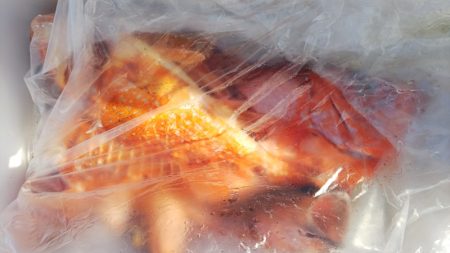 第二龍勢丸 釣果