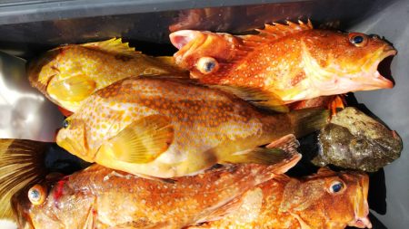 第二龍勢丸 釣果