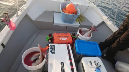 遊漁船ブルーウッズ 釣果