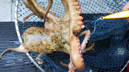 第二龍勢丸 釣果