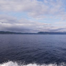 第二龍勢丸 釣果