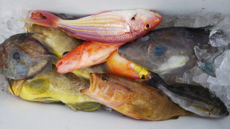 第二龍勢丸 釣果