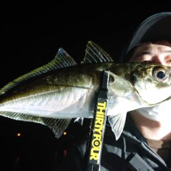 シースナイパー海龍 釣果