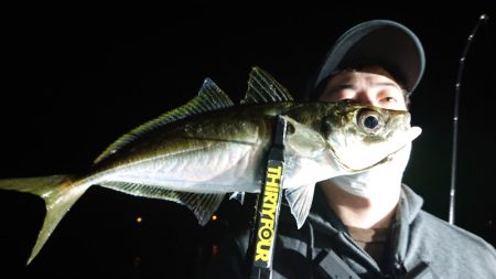 シースナイパー海龍 釣果
