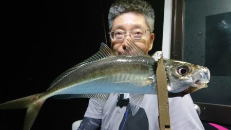 シースナイパー海龍 釣果