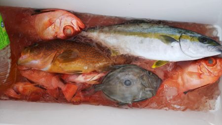 第二龍勢丸 釣果