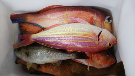 第二龍勢丸 釣果