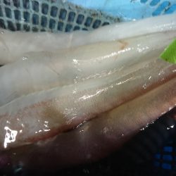 竹宝丸 釣果