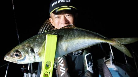 シースナイパー海龍 釣果