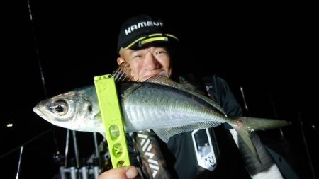 シースナイパー海龍 釣果