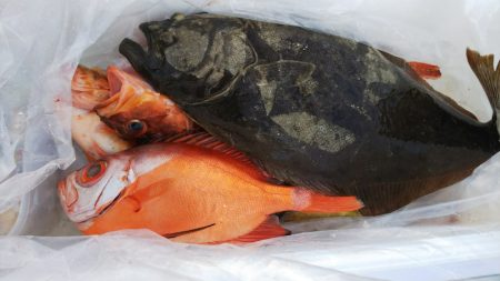 第二龍勢丸 釣果