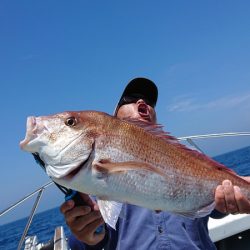 だて丸 釣果