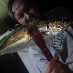 シースナイパー海龍 釣果