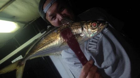 シースナイパー海龍 釣果