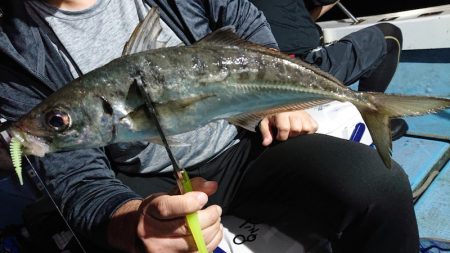 シースナイパー海龍 釣果