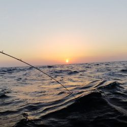 第二龍勢丸 釣果