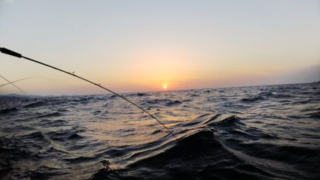 第二龍勢丸 釣果