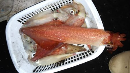 第二龍勢丸 釣果