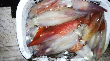 第二龍勢丸 釣果